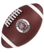 football beeach balls